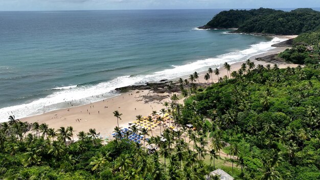 La plage de Tiririca à Itacare dans la Bahia au Brésil