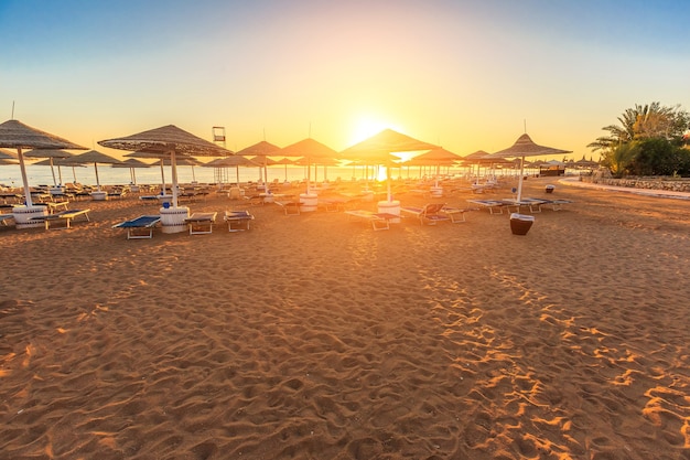 Plage avec transats et parasol au lever du soleil