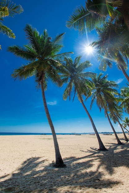 Plage tropicale au Sri Lanka. Concept de vacances et de vacances d'été pour le tourisme.