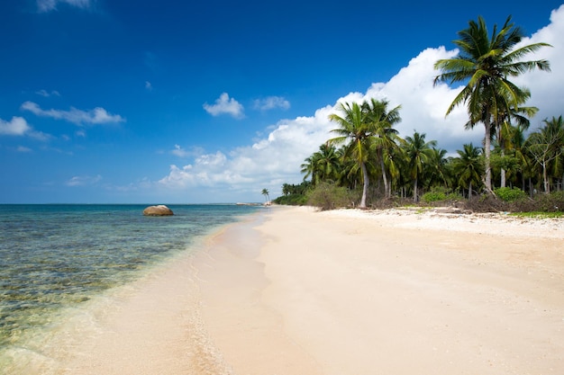 Plage tropicale au Sri Lanka. Concept de vacances et de vacances d'été pour le tourisme.