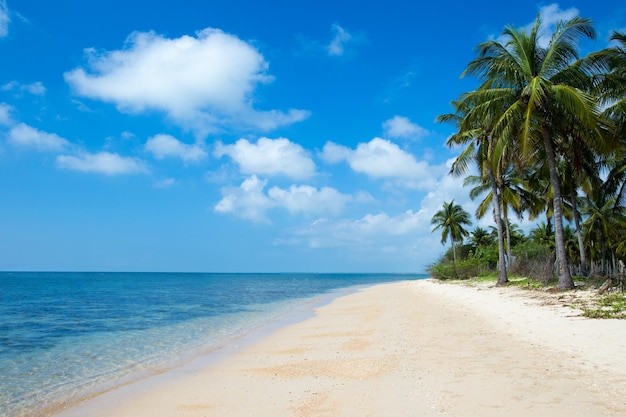 Photo plage tropicale au sri lanka vacances d'été et concept de vacances pour le tourisme