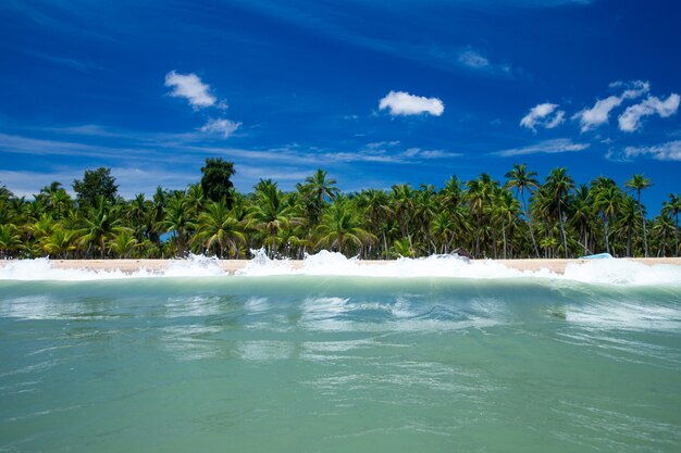 Plage tropicale au Sri Lanka. Vacances d'été et concept de vacances pour le tourisme.