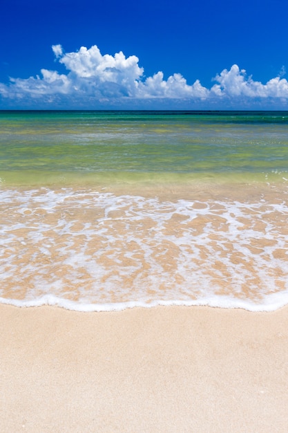 Plage tropicale au Sri Lanka