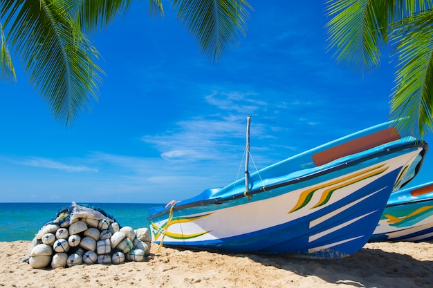 plage tropicale au Sri Lanka