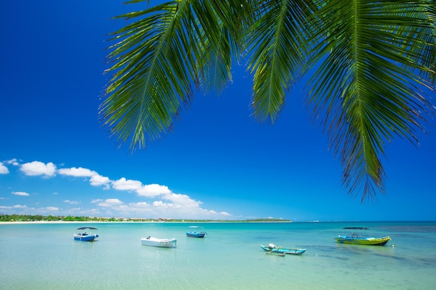 plage tropicale au Sri Lanka