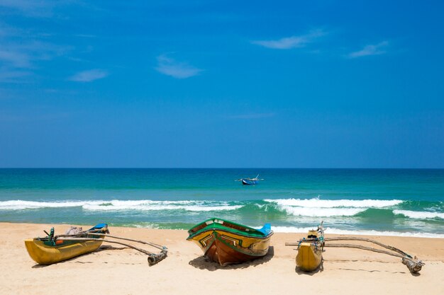 Plage Tropicale Au Sri Lanka