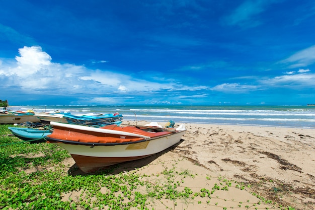 plage tropicale au Sri Lanka