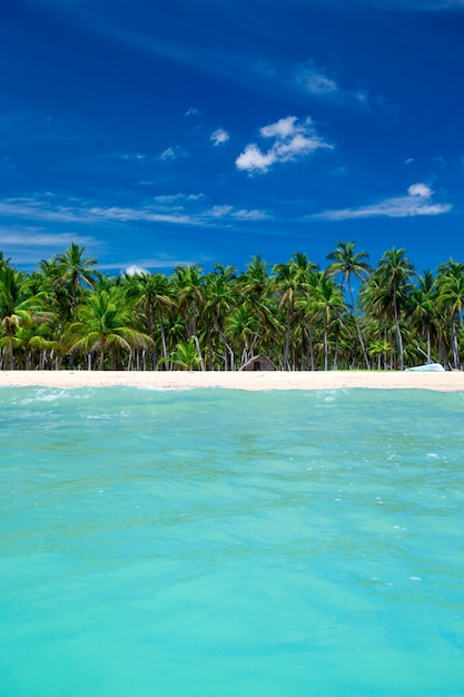 plage tropicale au Sri Lanka