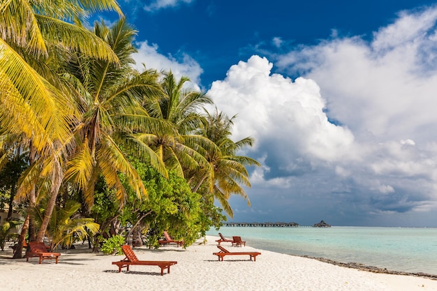 Plage tropicale aux Maldives avec palmiers et lagon accueillant et animé