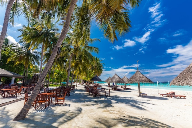 Plage tropicale aux Maldives avec palmiers et lagon accueillant et animé