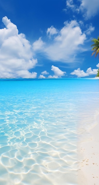 Une plage tropicale aux Maldives avec peu de palmiers et un lagon bleu