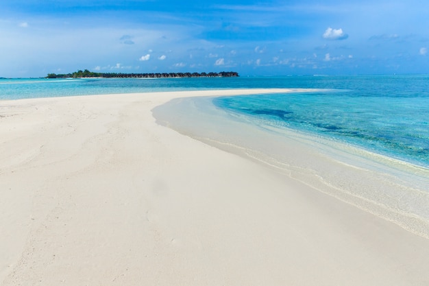 Plage tropicale aux Maldives avec quelques palmiers et lagon bleu