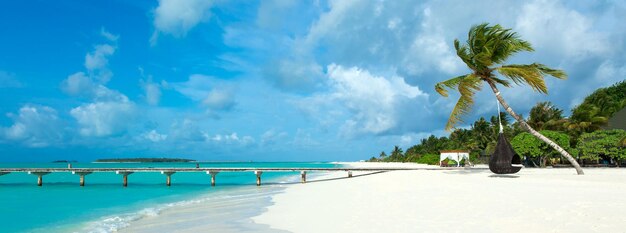 Photo plage tropicale aux maldives avec quelques palmiers et lagon bleu