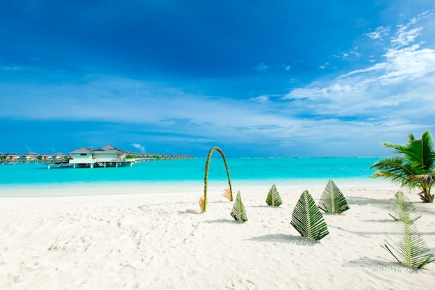 Plage tropicale aux Maldives avec quelques palmiers et lagon bleu