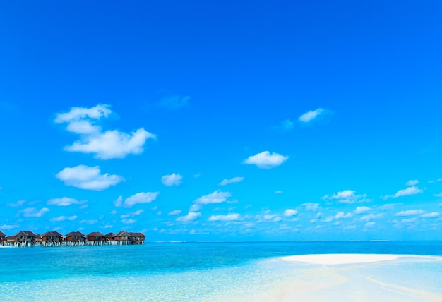 Plage tropicale aux Maldives avec quelques palmiers et un lagon bleuxAxA
