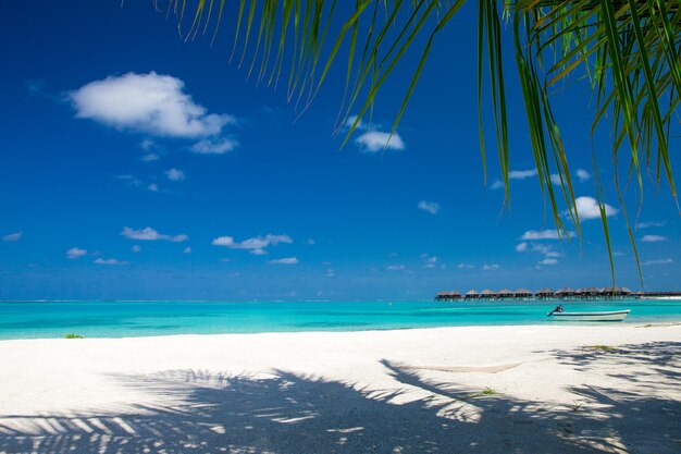 Plage tropicale aux Maldives