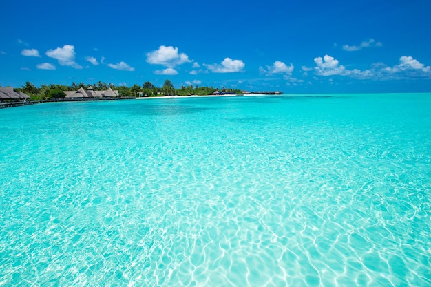 Plage tropicale aux Maldives