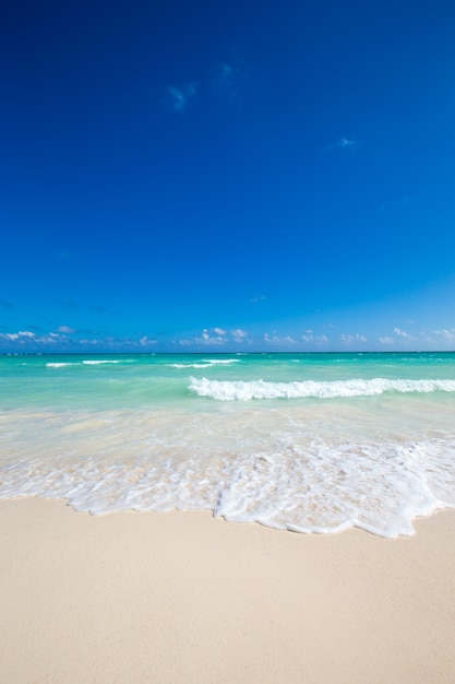 Plage tropicale aux Maldives