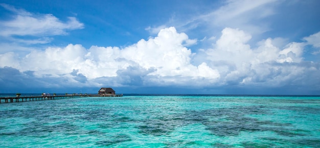 Plage tropicale aux Maldives