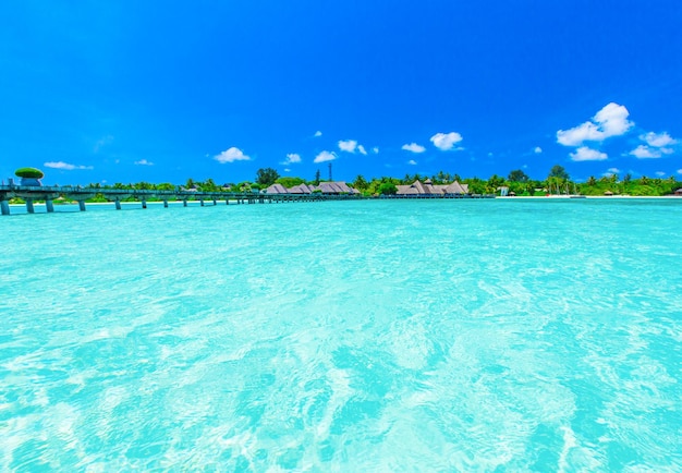 Plage tropicale aux Maldives