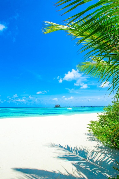 Photo plage tropicale aux maldives