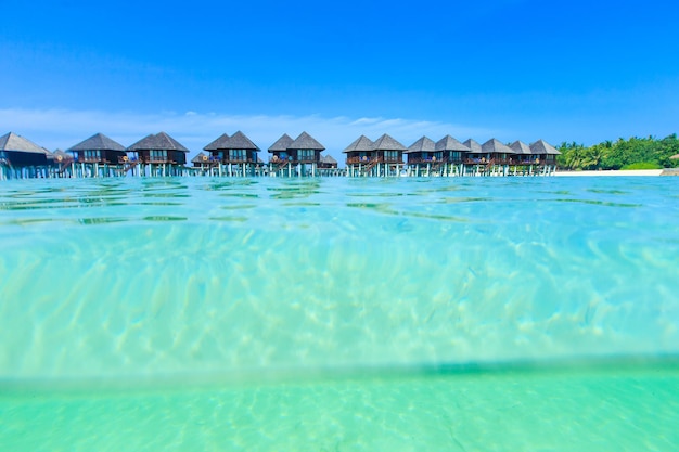 Plage tropicale aux Maldives