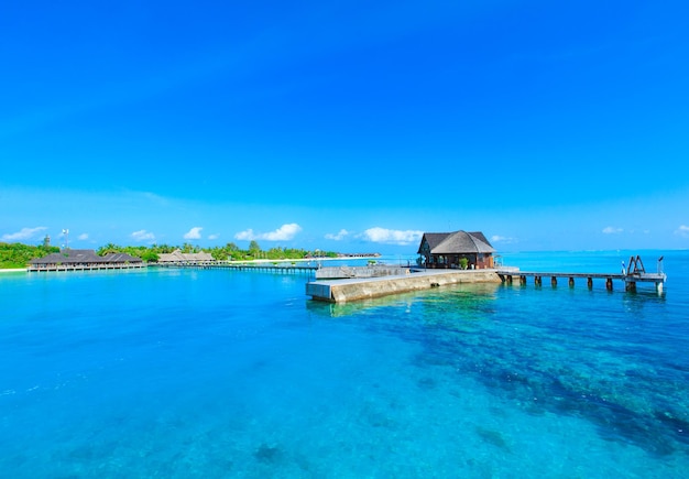 Plage tropicale aux Maldives