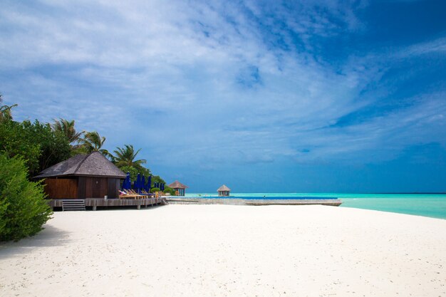 Plage tropicale aux Maldives