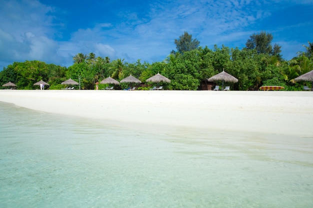 Plage tropicale aux Maldives