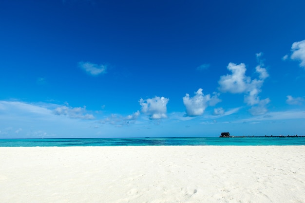 Plage tropicale aux Maldives