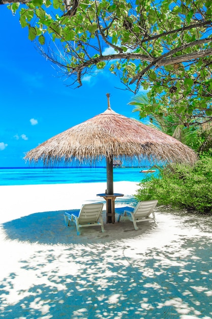 Plage tropicale blanche aux Maldives avec quelques palmiers et lagon bleu
