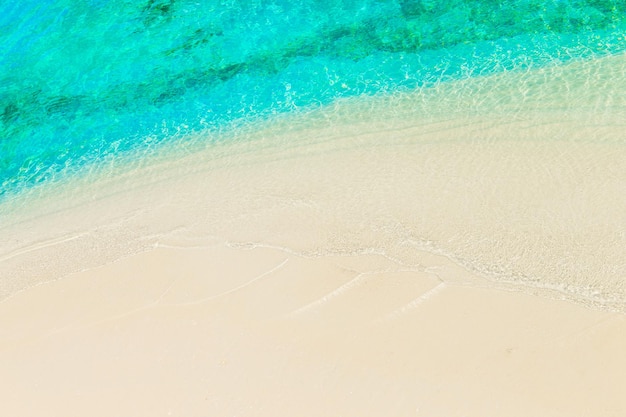 Plage tropicale blanche aux Maldives avec quelques palmiers et lagon bleu