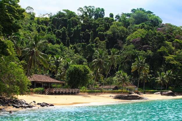 Plage tropicale brésilienne vide avec la maison et beaucoup d'arbres