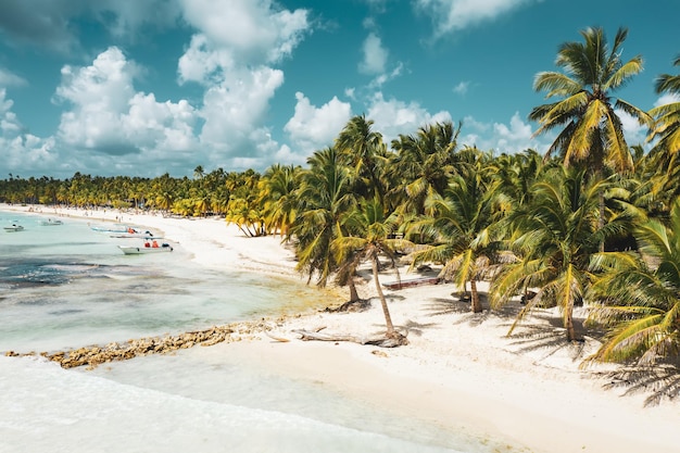 Plage tropicale des Caraïbes