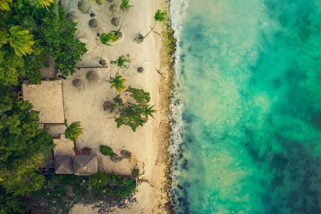 Plage tropicale des Caraïbes