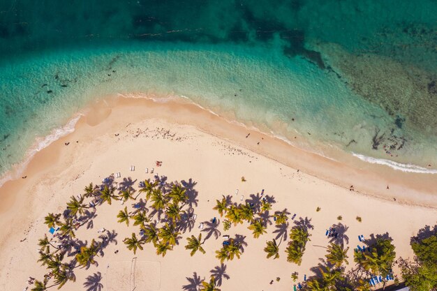 Plage tropicale des Caraïbes