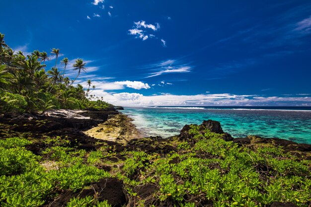 Plage tropicale du côté sud de l'île de Samoa avec des cocotiers