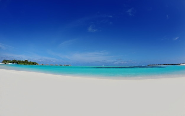 plage tropicale avec du sable blanc en été