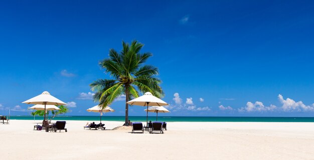 Plage tropicale avec hamac au Sri Lanka