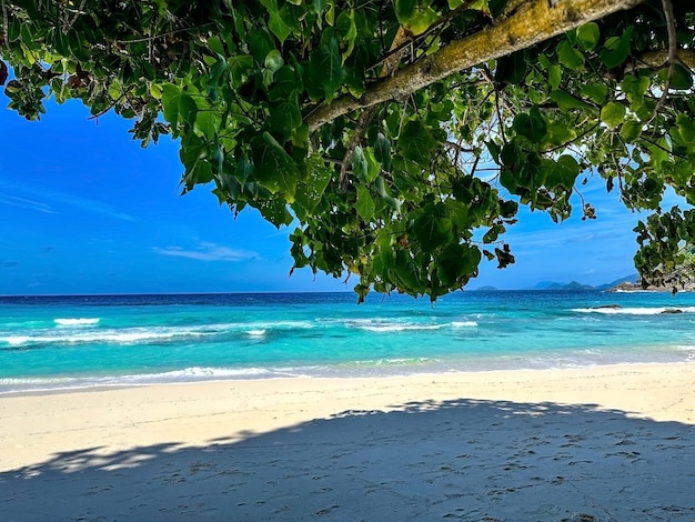 Plage tropicale sur l'île de Mahé aux Seychelles