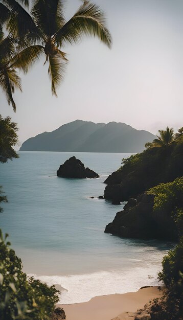 Photo plage tropicale sur l'île de mahe aux seychelles