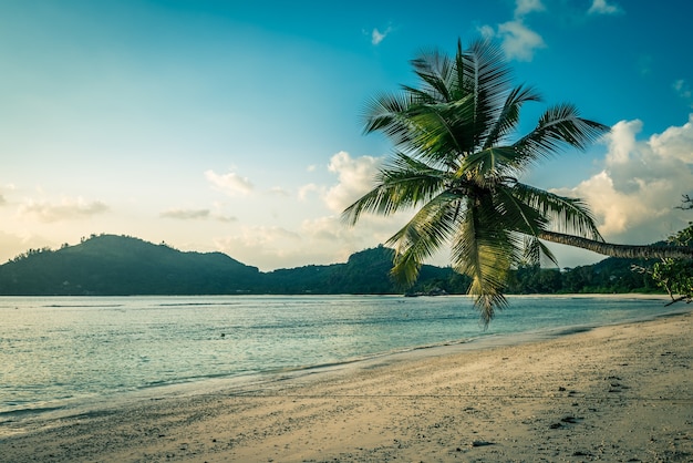 Plage tropicale à l'île de Mahé Seychelles. Prise de vue horizontale