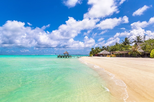 Plage tropicale de l'île des Maldives