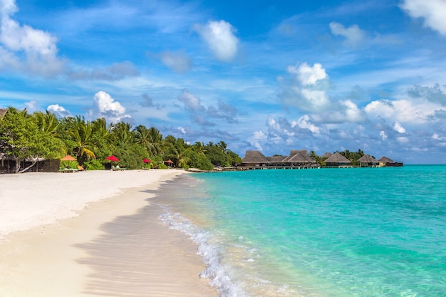 Plage tropicale sur l'île des Maldives