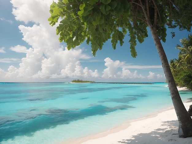 Plage tropicale sur l'île des Maldives