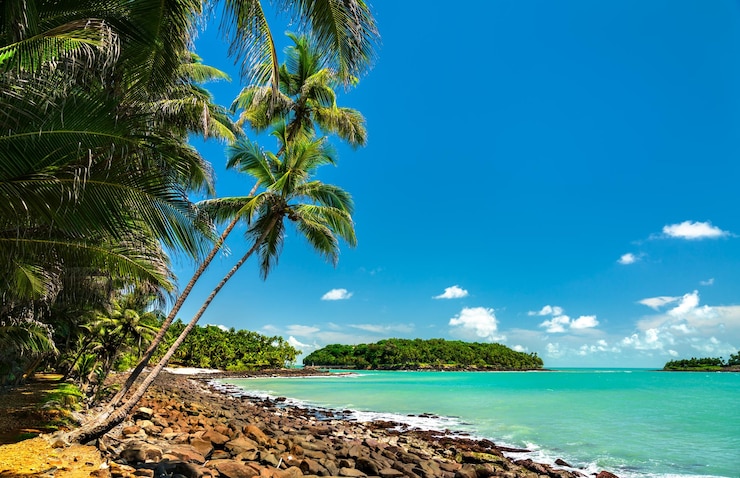 Photo plage tropicale de l'île saint-joseph, partie des îles du salut en guyane française, amérique du sud