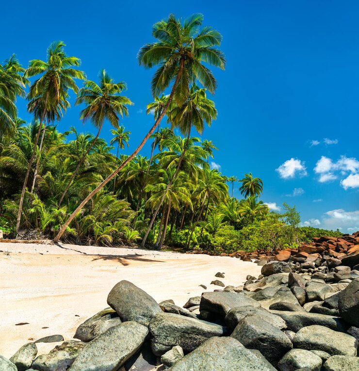 Photo plage tropicale de l'île saint-joseph, partie des îles du salut en guyane française, amérique du sud
