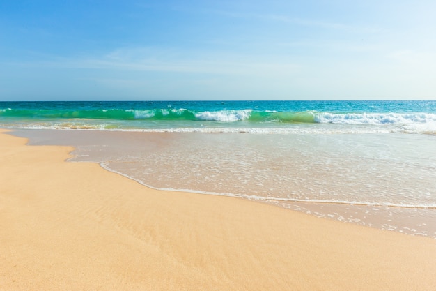 Plage tropicale intacte au Sri Lanka avec du sable blanc et de l'eau bleue