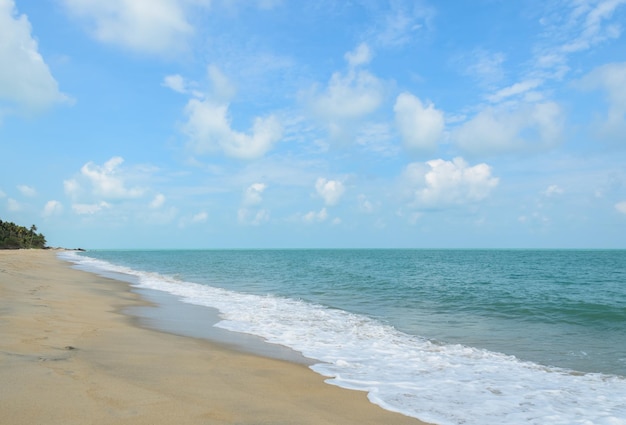 Plage tropicale en journée ensoleillée