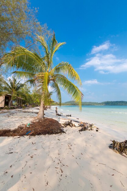 Plage tropicale à Ko Rong avec vague de mer sur le sable et palmiers